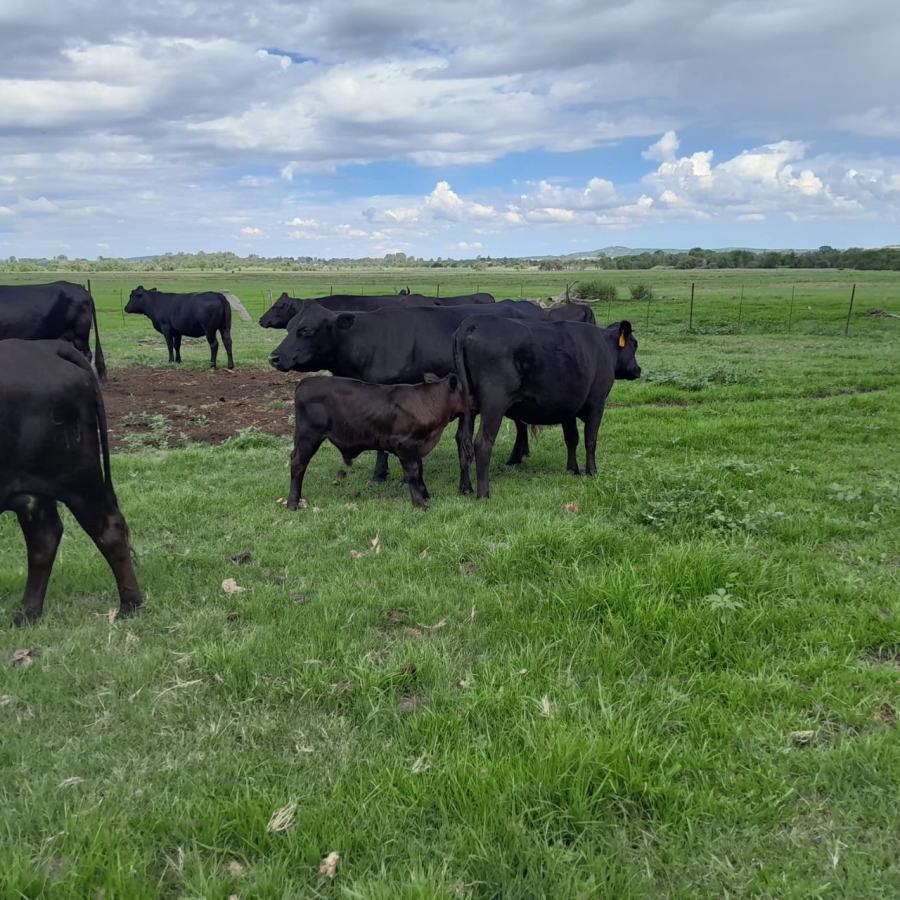 Commercial Property for Sale in Potchefstroom Rural North West